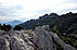 Bjergkden Dentelles de Montmirail, Provence, Sydfrankrig.