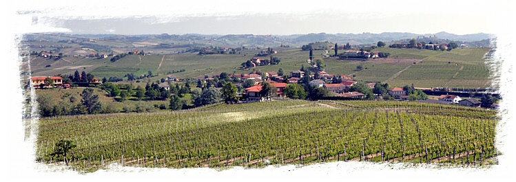 Udsigt over vinmarker i Piemonte regionen i Italien.