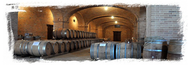 En del af vinkælderen i vinhuset Scagliola i Piemonte, Norditalien.